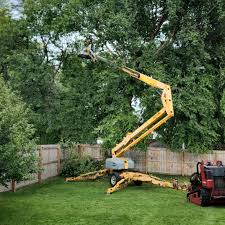 Best Leaf Removal  in Leipsic, OH