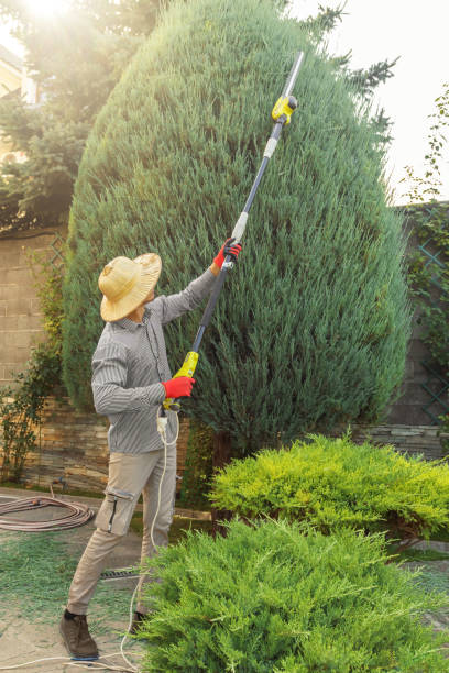 Best Commercial Tree Services  in Leipsic, OH